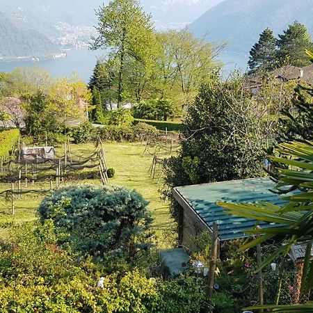 Casa Dina Villa Lugano Eksteriør billede